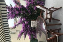Apartmanok Sara Baška Voda Apartman 1 – A5 foto 2