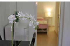 Apartmanok Karin Apartman 3 – A-3 foto 4