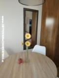 Vakáció Roema Apartman 2 – A studio foto 3
