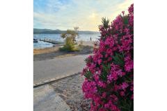Apartman Mare - prvi red uz more Apartman 1 – Mare foto 3