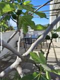Villa D&J Apartman 3 – D&J3 foto 2