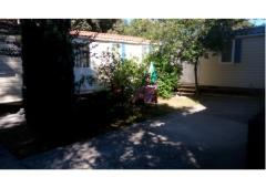 Apartmanok Vranela Apartman 3 – MOBILEHOME foto 2