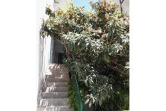 Apartmanok A & N Bekavac . Apartman 4 – A2+2 foto 5