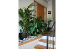 Apartmanok Katarina Apartman 1 – Ap1 foto 1