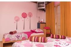 Apartmanok Colosseum Apartman 1 – KATARINA foto 2