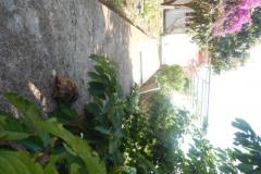 Apartmanok Diana Apartman 1 – Apartman 1 foto 5
