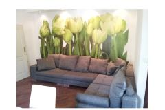 Apartman Estera Apartman 1 foto 1