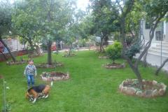 Jadranka Franičević Apartman 2 – apartman foto 2