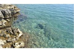 Villa Hvar Melody Apartman 1 – Yellow foto 5