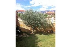Apartmanok Vito Apartman 1 – Bartul foto 2