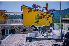 Luxury villa Cvita Apartman 1 – VillaCvita foto 3