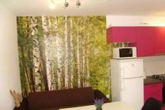 Apartaments Samanic Apartman 2 – Apartman 4 foto 2
