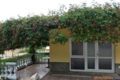 Apartmanok Milica Apartman 1 – APARTMAN foto 4