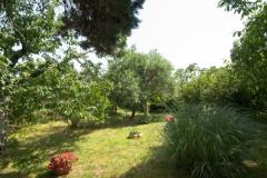 Sea Dream Apartman 2 – Sea Dream2 foto 4