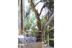 Apartmanok Zoran Apartman 1 – AP1 foto 5