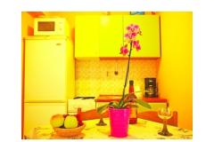 Apartmanok Diana Apartman 4 – ap. 4 foto 1