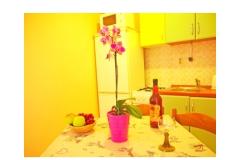 Apartmanok Diana Apartman 4 – ap. 4 foto 2