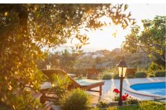 Rustic Oliveto Apartman 1 – Rustic foto 2