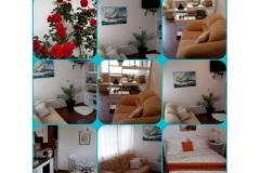 Villa Apartmanok Sumić Apartman 1 – GREEN OASE foto 4