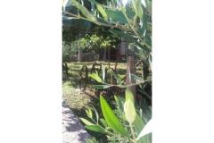 Apartmanok Vera Apartman 2 – apartman foto 4