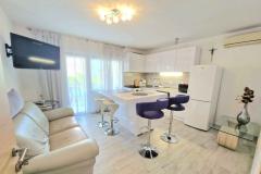 Dizma Wellness Apartmanok Apartman 3 – Renić foto 1