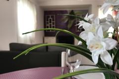 Apartmanok Luna Apartman 4 – 7 foto 1