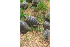 Family Apartmanok K&M Apartman 4 – App A4 foto 2