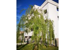 Apartmanok Dalmacija Apartman 2 – apartman 2 foto 1