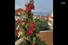 Apartmanok Iva Apartman 3 – App 7+1 foto 2