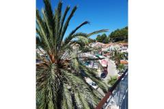 Palm tree apartman Apartman 2 – Palma foto 1