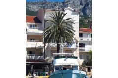 Palm tree apartman Apartman 2 – Palma foto 2
