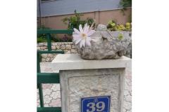 Rako Apartmanok Marilka Apartman 3 – APARTMAN 2 foto 1