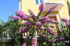 Apartmanok Podstrana Apartman 2 – Apartman 2 foto 3
