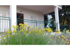 Apartmanok vila Diana Apartman 1 – apartman M foto 2