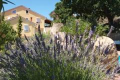 Apartmanok Dumičić Apartman 3 – A6 donji foto 3