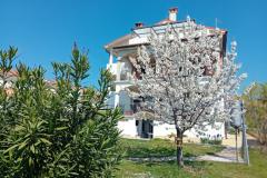 Apartmanok i Szobák Markovic Szoba 3 – ROOM foto 1