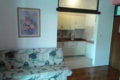 Vila Salvia Apartman 1 – Apart.101 foto 3