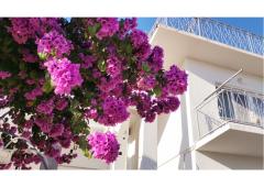 Apartman Mare Apartman 1 – Mare foto 1