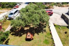 Apartmanok Villa Magnolija Apartman 3 – apartman 3 foto 4