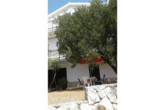 Vakáció Mirjana Apartman 1 – Mirjana foto 4
