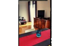 Lu-Do Apartmanok Apartman 1 – One foto 5