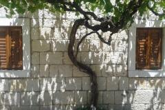 Stara kuća Apartman 1 – Stara kuća foto 2