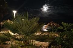 Villa Kairos Szoba 7 – TR-301 foto 1
