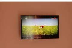 Apartmanok Love Tučepi Apartman 3 – NARANČASTI foto 5