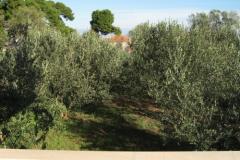 Apartmanok Ante Apartman 1 – A1 foto 5