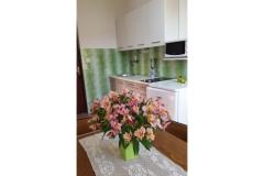 Apartmanok Branko Vidaković Apartman 4 – Apartman 4 foto 4
