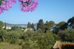 Apartmanok Branko Vidaković Apartman 2 – Apartman 2 foto 1