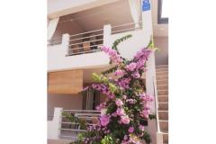 Apartmanok Maja Apartman 1 – A2 foto 1