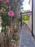 Apartmanok Taramis Apartman 3 – pink foto 5