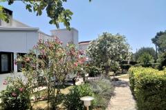 Apartmanok Budija / Lavanda Apartman 1 – Lavanda 1 foto 2